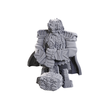 PF UNPAINTED MINIS WV23 MALE DWARF CHAMPION HIGH-LEVEL